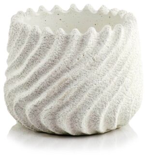 product 2907.jpg
