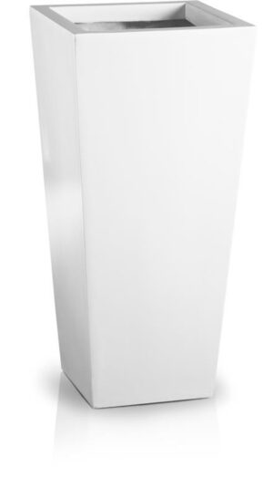 product 299.jpg