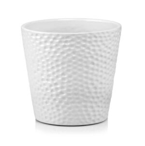 product 3123.jpg