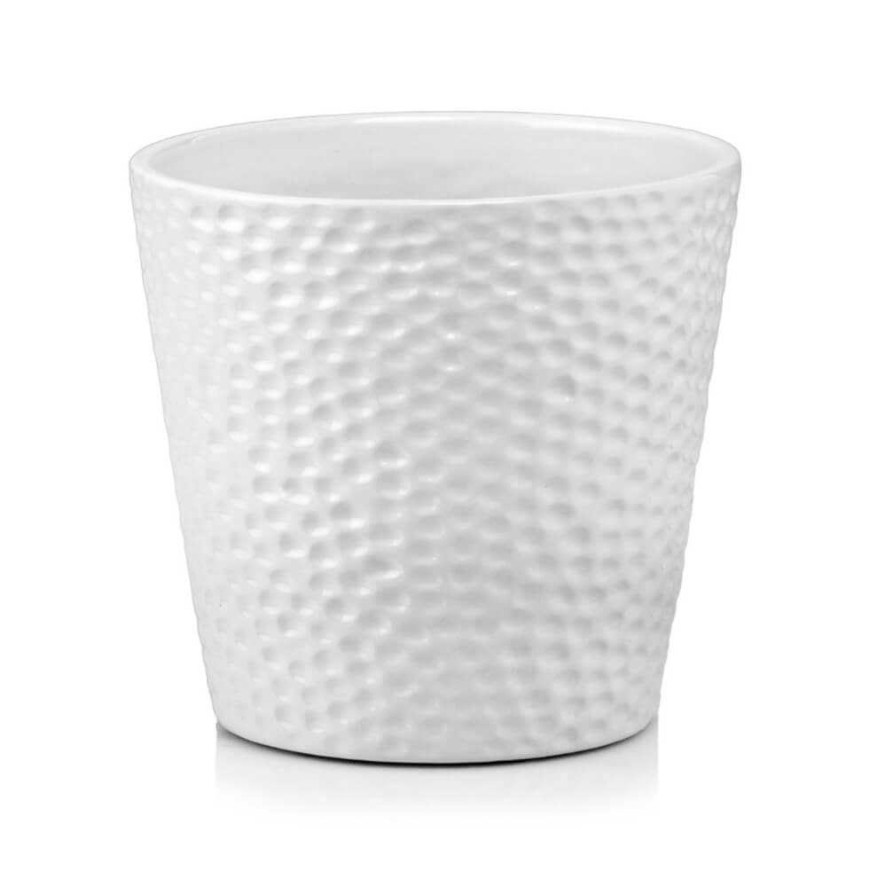 product 3123.jpg product 3123.jpg