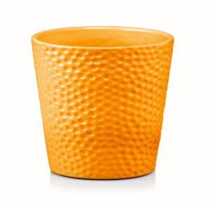 product 3127.jpg