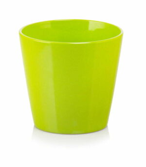product 3158.jpg