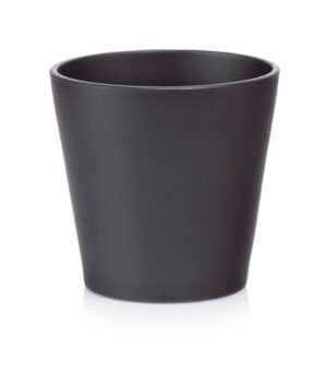 product 3197.jpeg