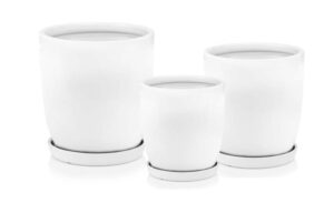 product 3255.jpg