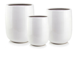 product 3256.jpg
