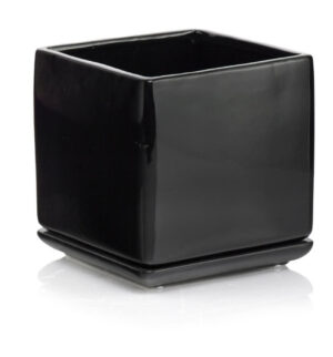 product 3268.jpg