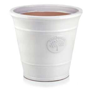 product 3427.jpg