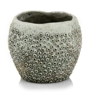 product 3444.jpg