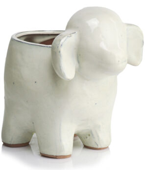 product 3643.jpg
