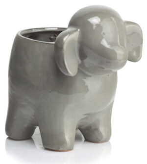 product 3644.jpg