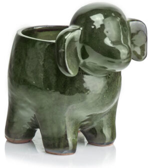 product 3645.jpg