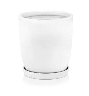 product 3746.jpg