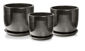 product 3842.jpg