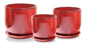 product 3845.jpg