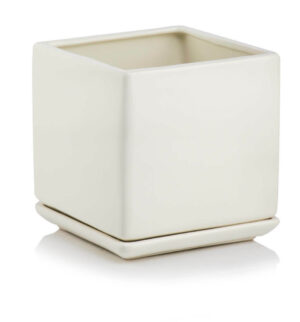 product 3901.jpg