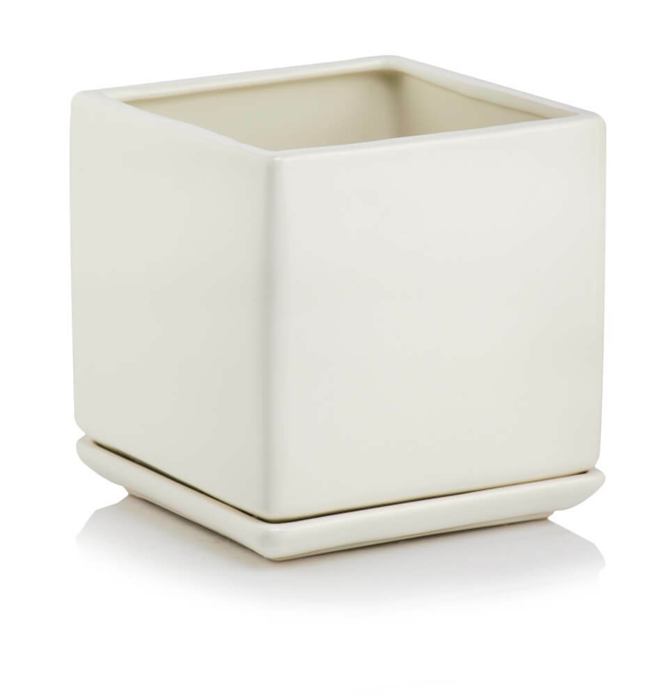 product 3902.jpg product 3902.jpg