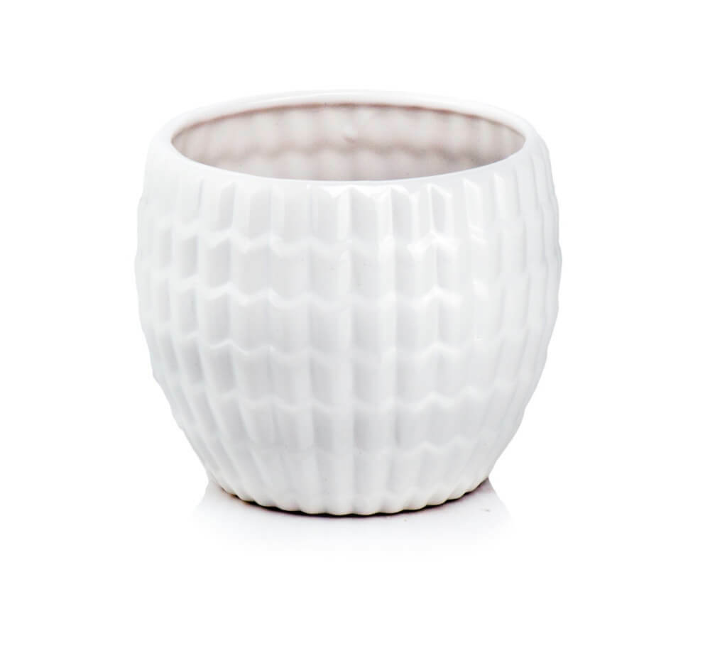 product 3935.jpg product 3935.jpg