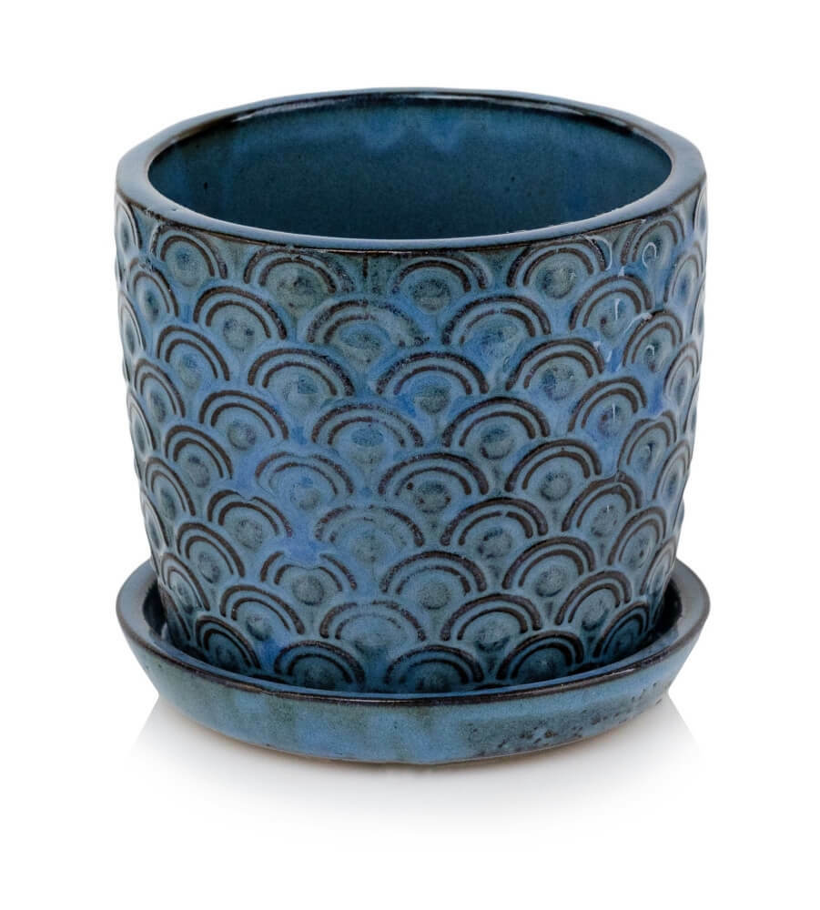 product 4595.jpg product 4595.jpg