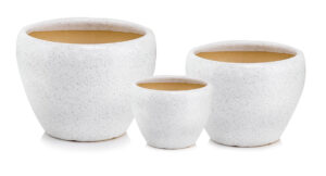 product 4607.jpg