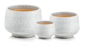 product 4619.jpg