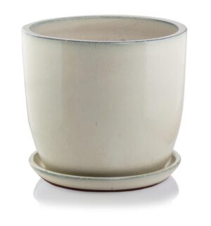product 462.jpg