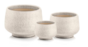 product 4623.jpg