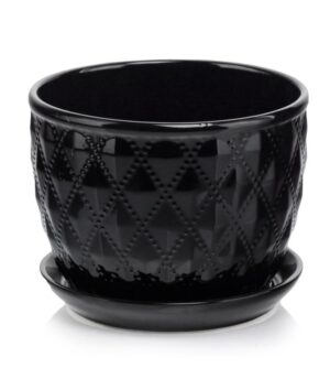 product 4681.jpg