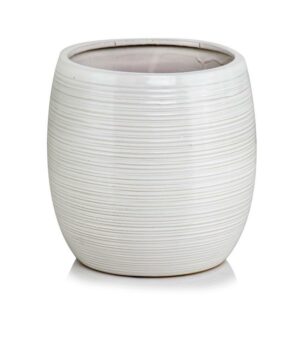 product 4704.jpg