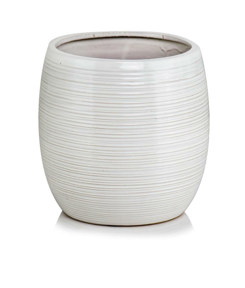 product 4704.jpg product 4704.jpg