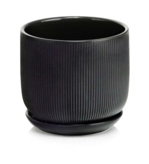 product 4895.jpg