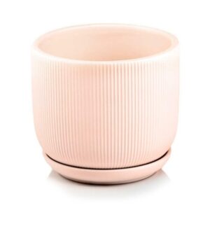 product 4898.jpg