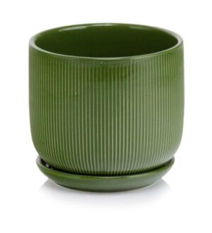 product 4901.jpg