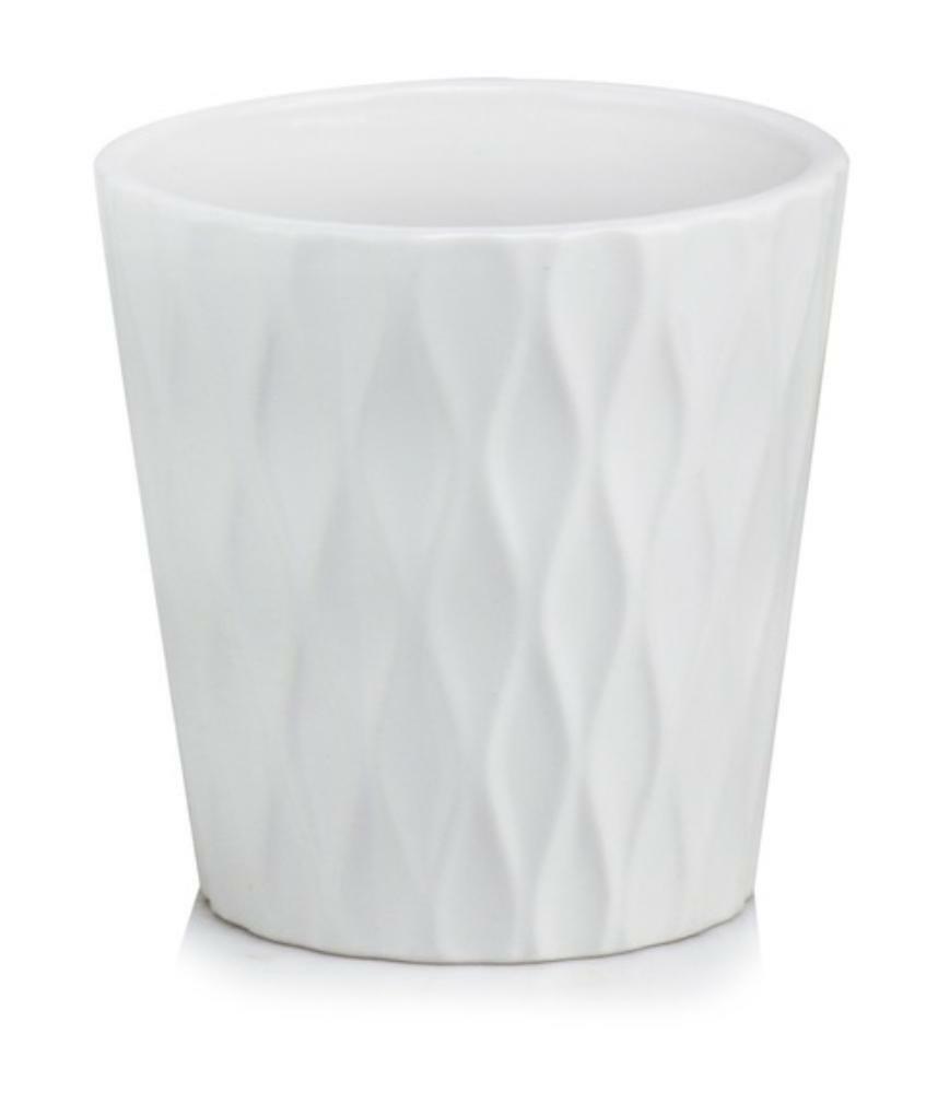 product 4904.jpg product 4904.jpg