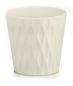 product 4911.jpg