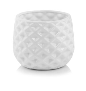 product 4929.jpg