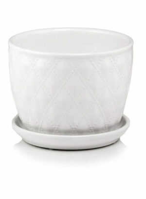 product 4933.jpg