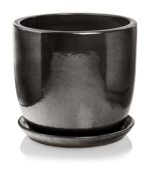 product 4937.jpg
