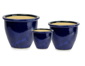 product 5050.jpg