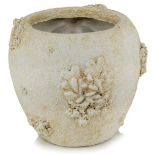 product 5498.jpg