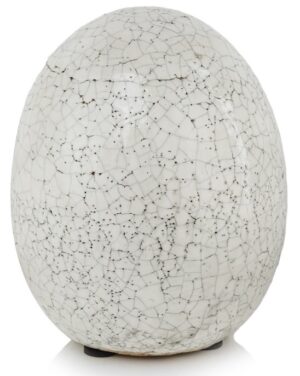 product 5613.jpg