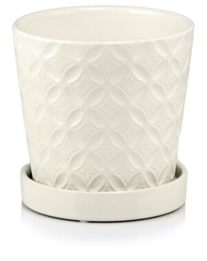 product 5764.jpg