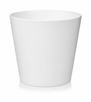 product 5777.jpg