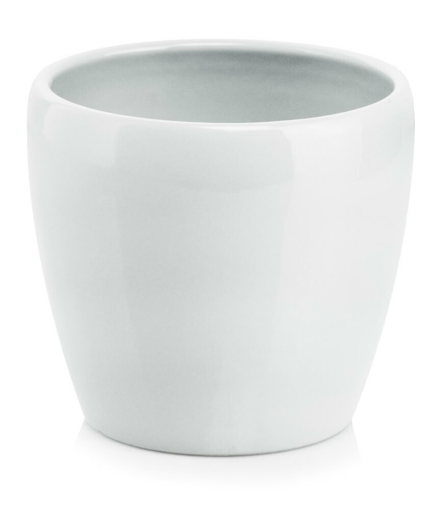 product 5779.jpeg product 5779.jpeg