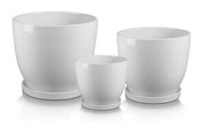 product 6138.jpg