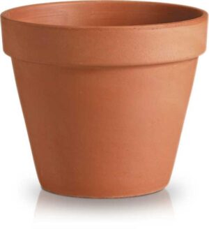 product 685.jpg