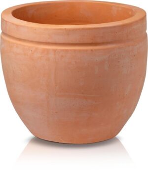 product 781.jpg