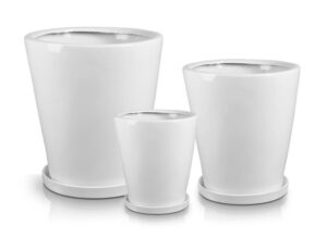 product 800.jpg